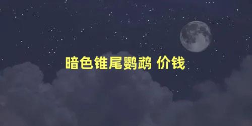 暗色锥尾鹦鹉 价钱